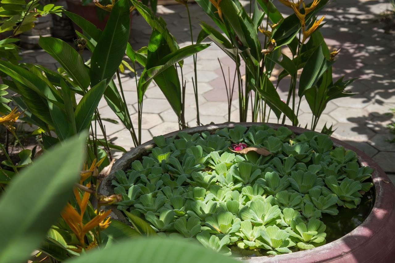 Side Walk Hotel Siem Reap Bagian luar foto