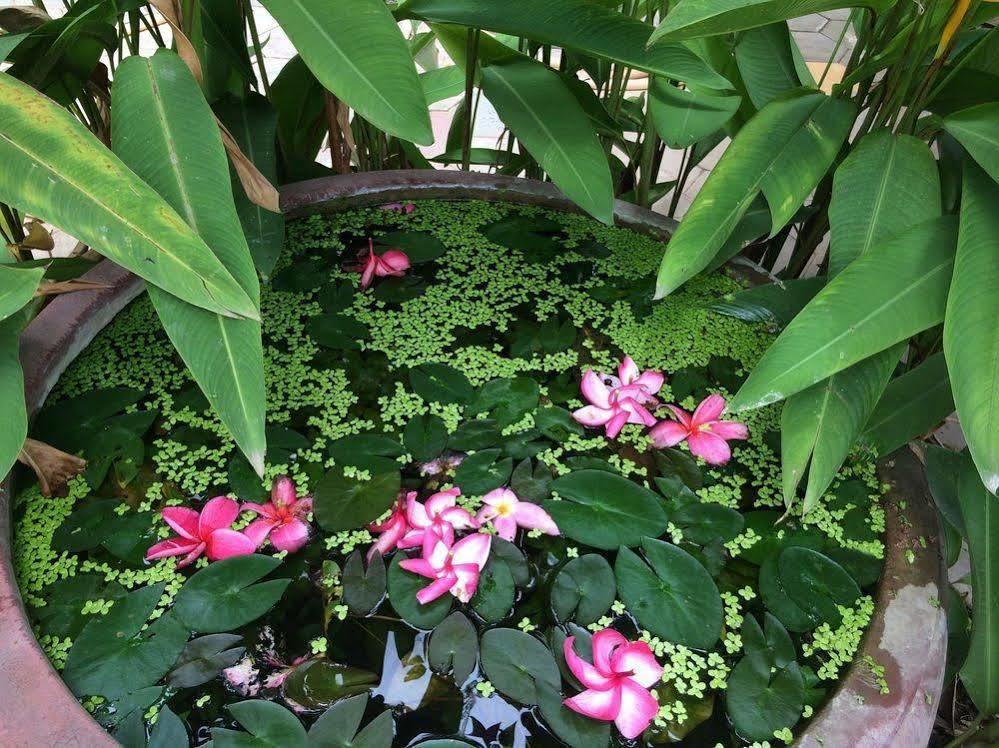 Side Walk Hotel Siem Reap Bagian luar foto